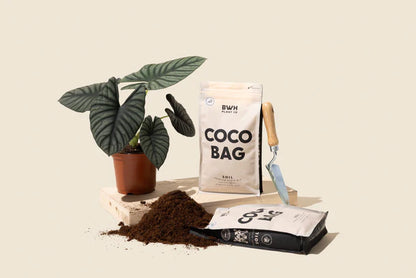 Coco Bag: 1 Gallon