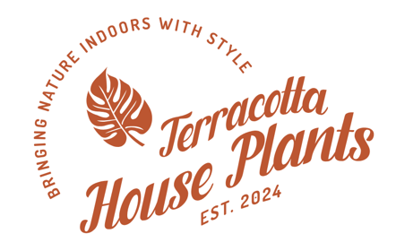 Terracotta House Plants